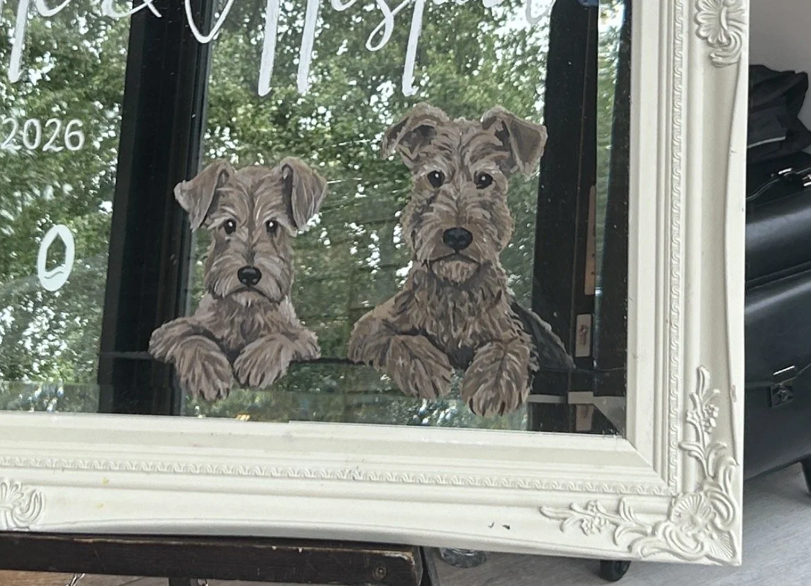Mirror pet portrait