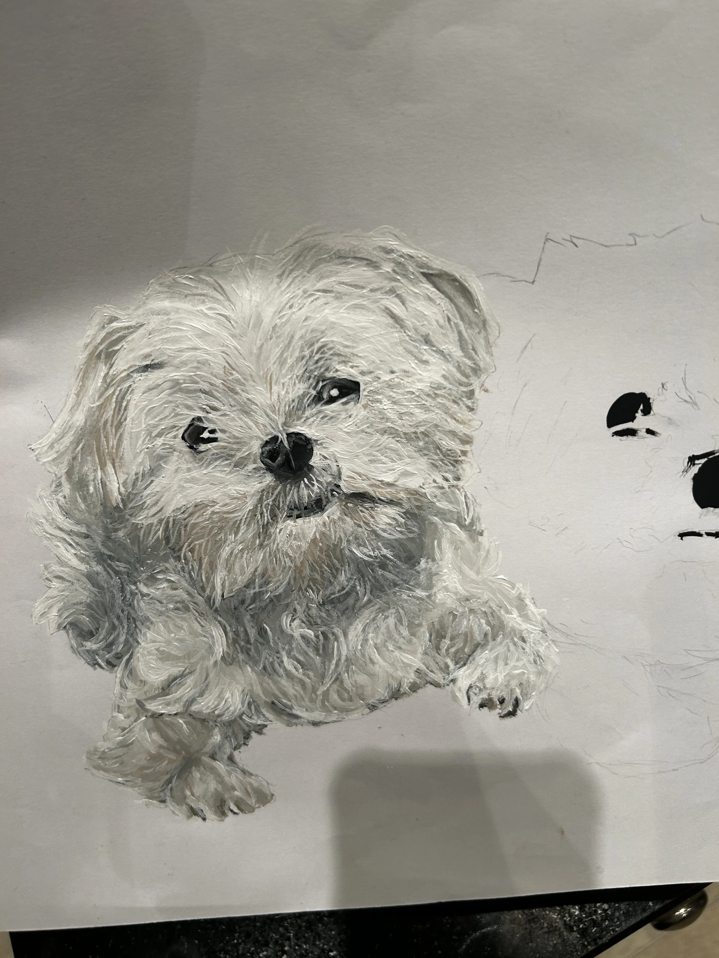 Landscape pet portrait