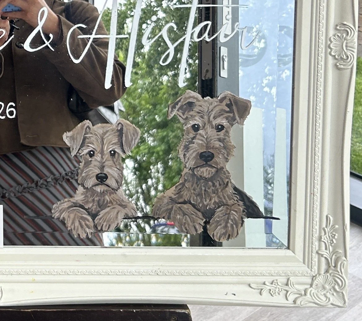 Mirror pet portrait