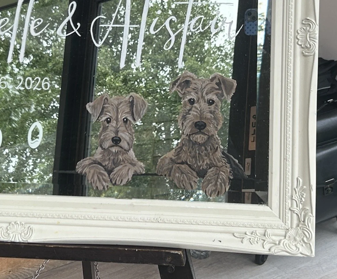 Mirror pet portrait
