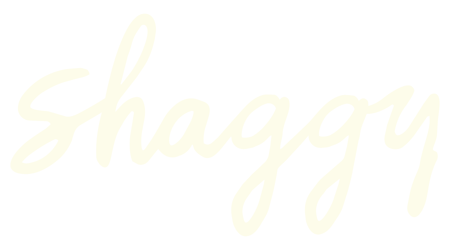 Shaggy | Boutique Dog Grooming Salon in Austin, Texas