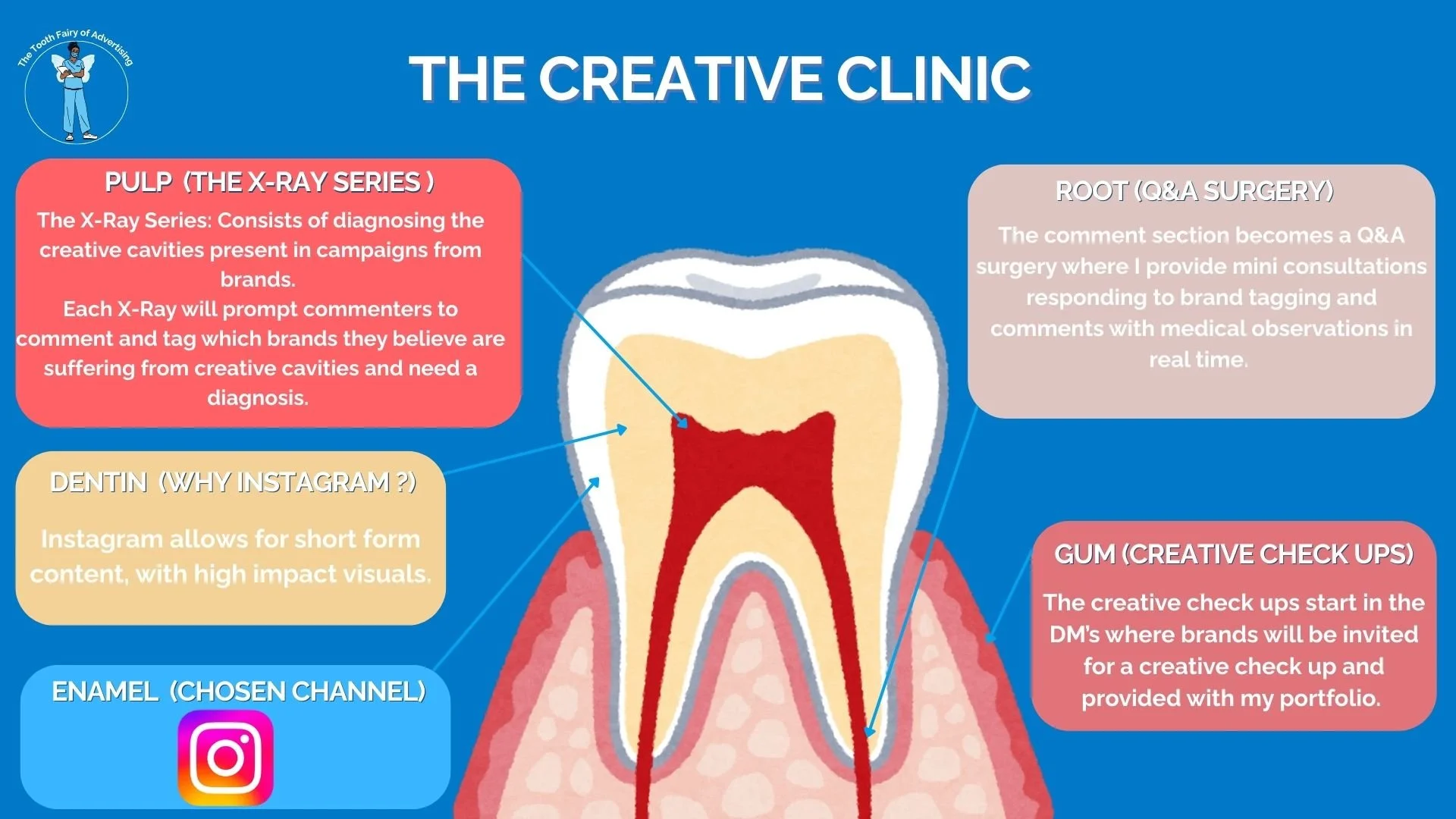 Diagram of a tooth with labeled sections explaining dental topics such as pulp, root, dentin, enamel, and gum, with colorful text boxes providing information about dental procedures and marketing strategies.