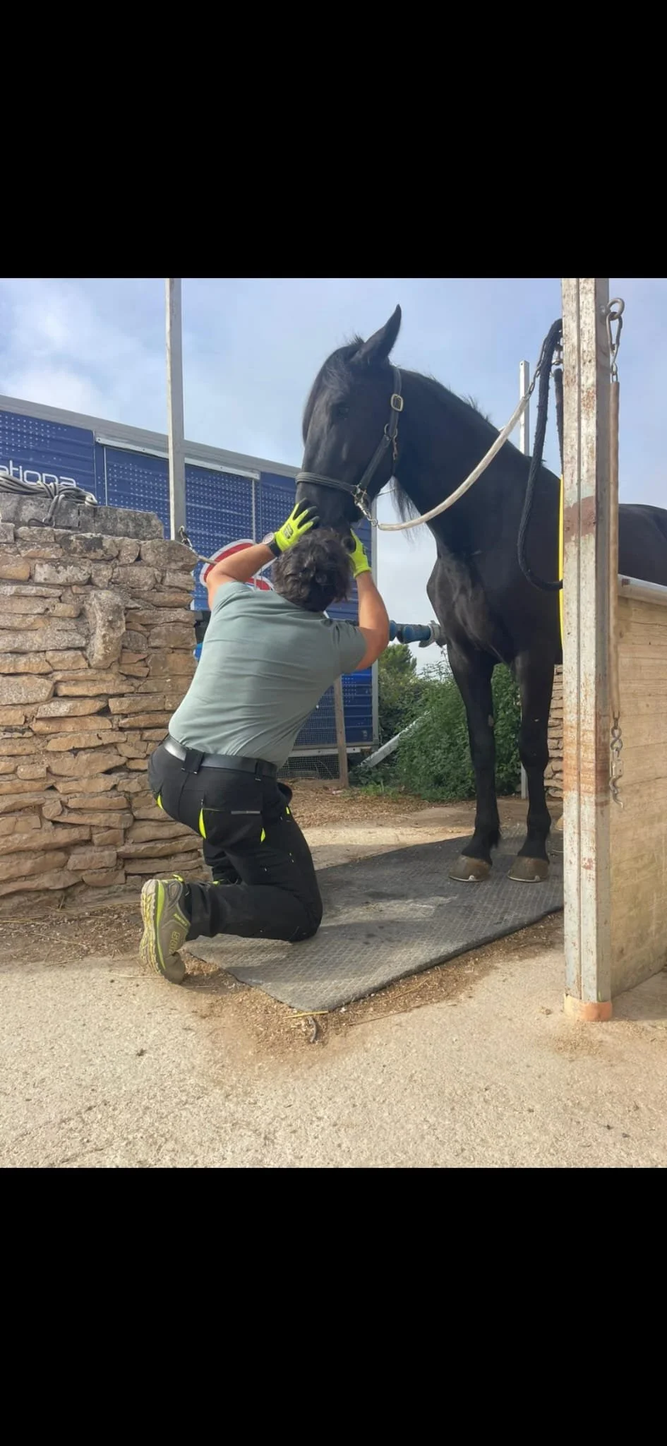 Una persona che si prende cura di un cavallo, aiutandolo a bere o a mangiare, all'aperto.