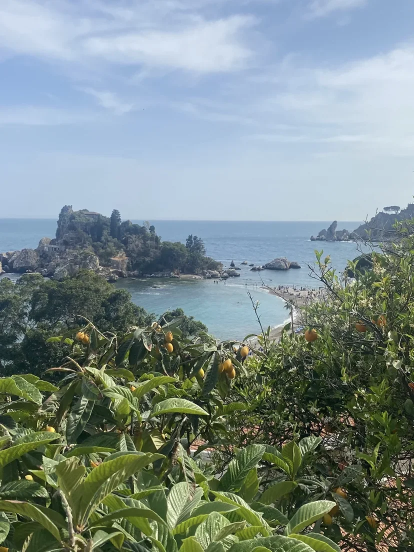 A coastal view with leafy greenery overlooking a calm blue sea