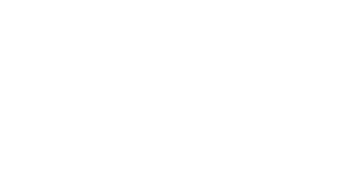 Meerkat Security Consulting