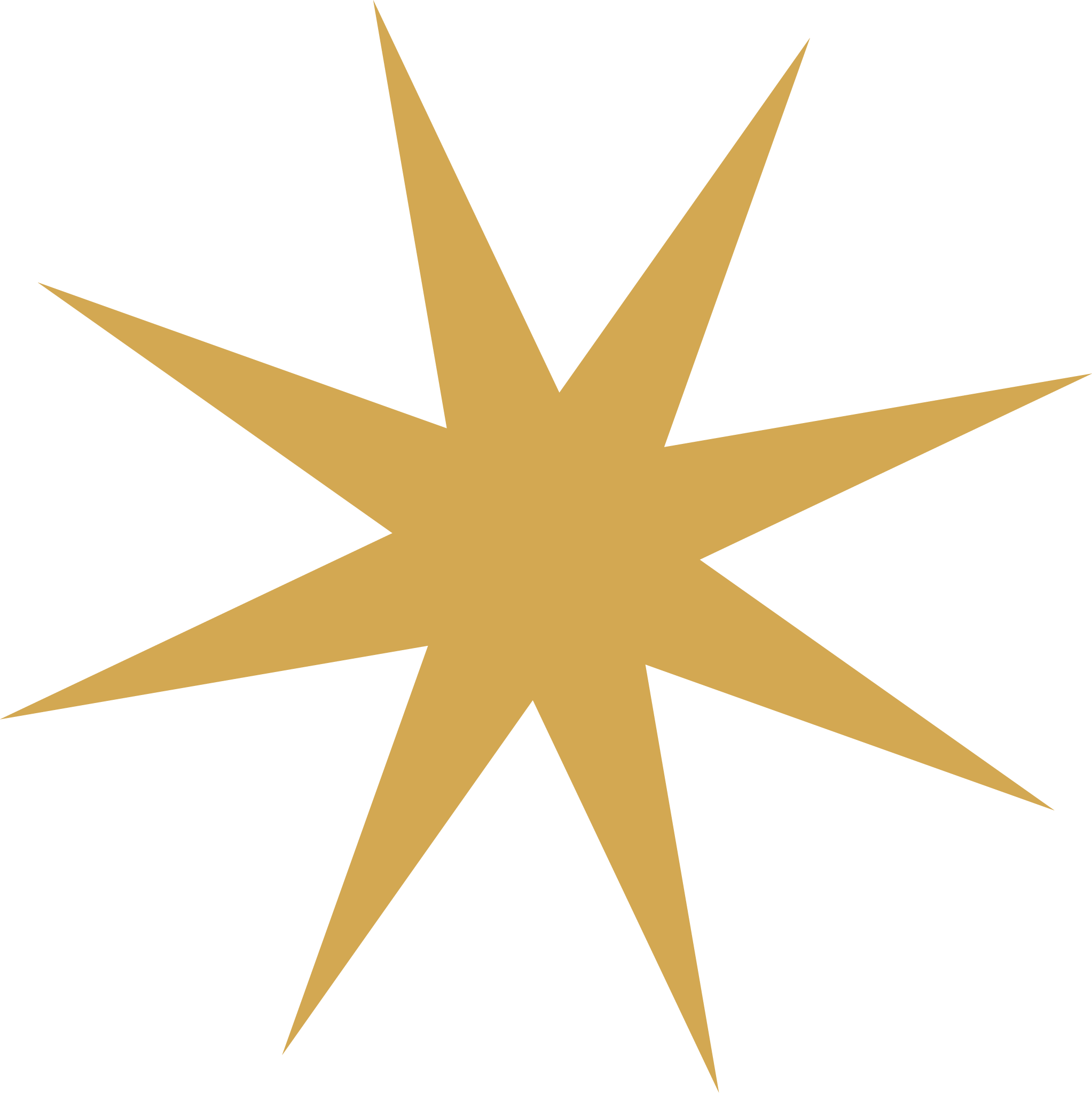 AnnMarie Rose gold star brand icon