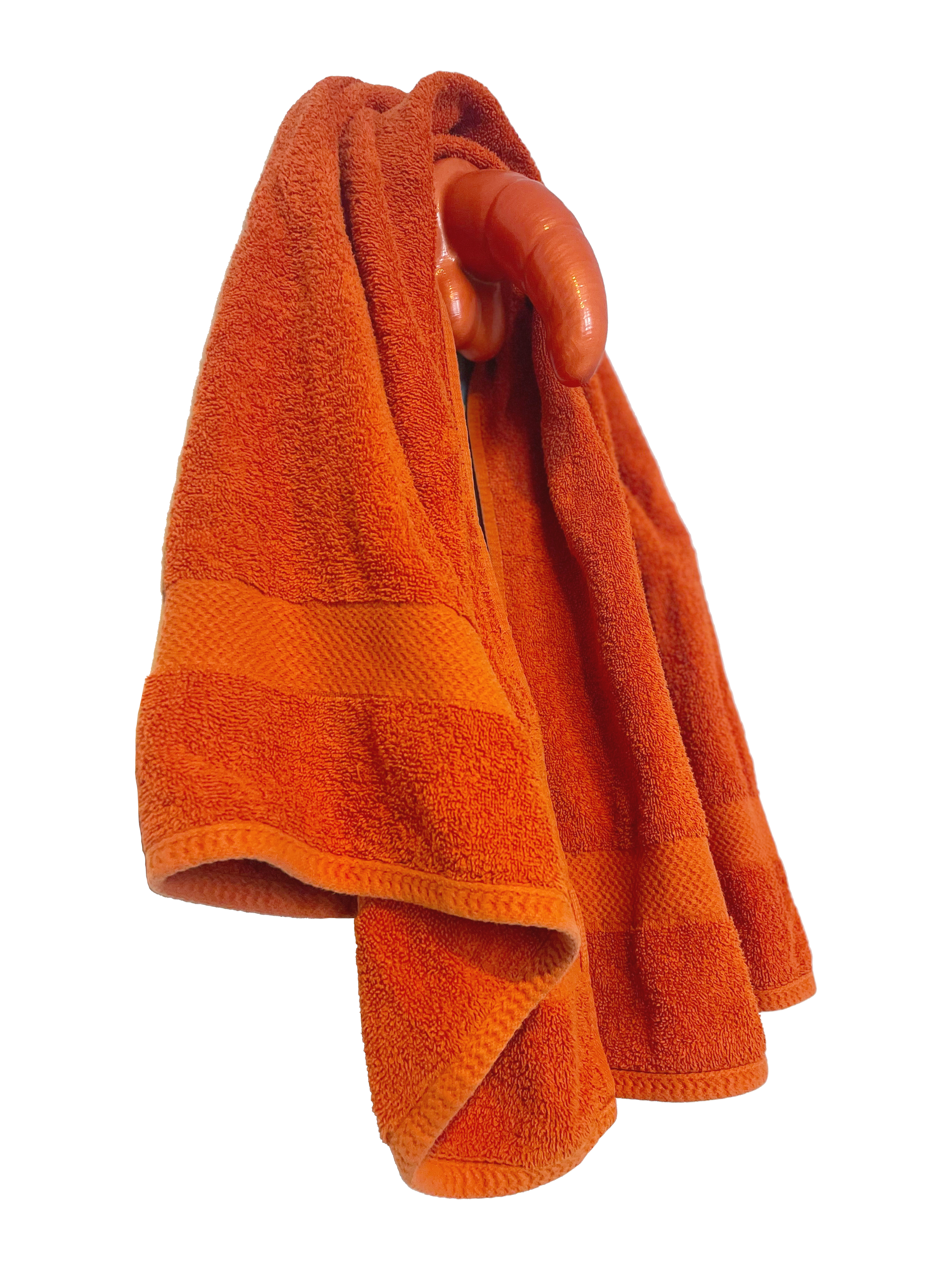 vertical_hog_transparent_background_no_shadow.png