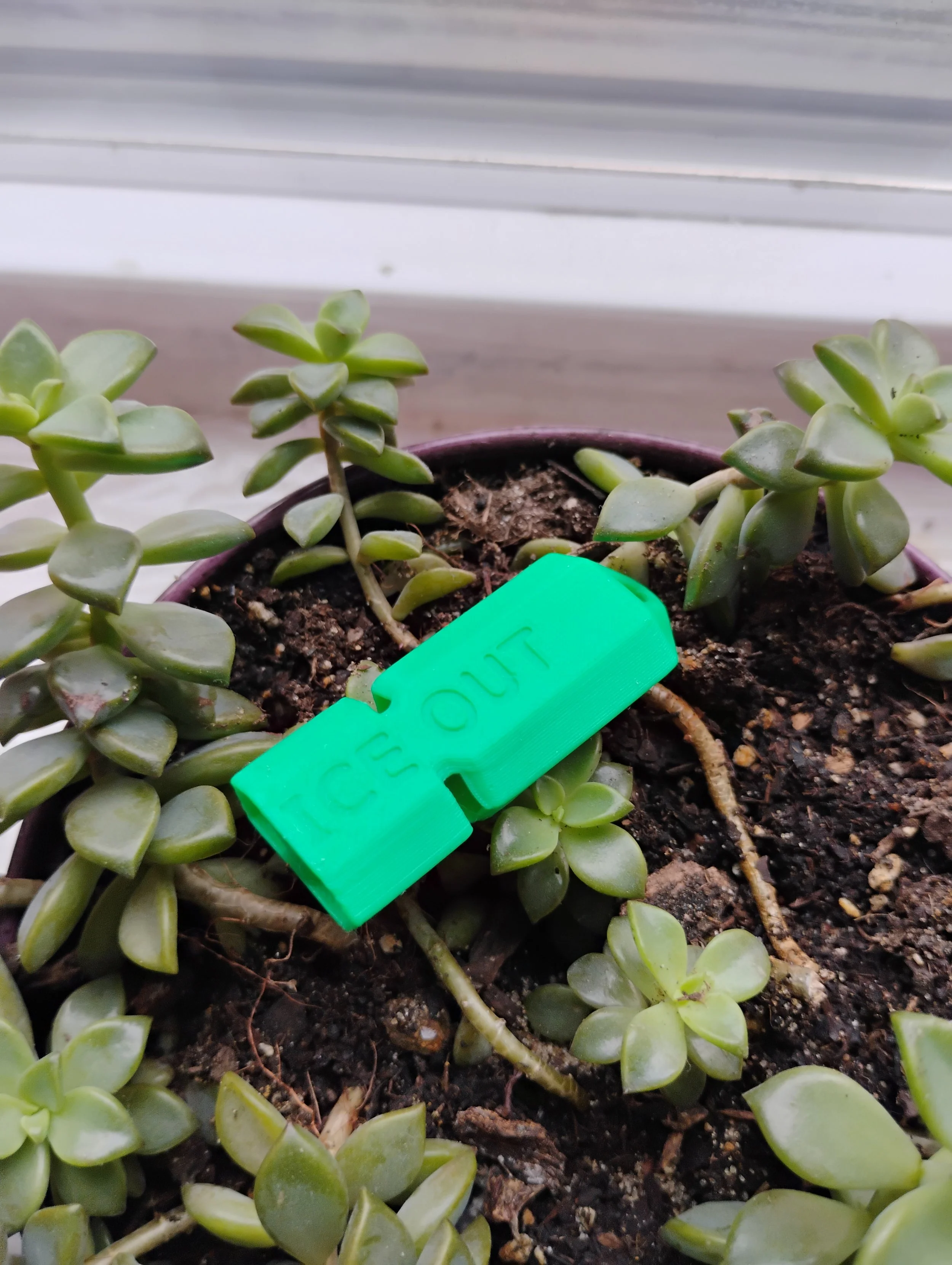 Anti-ICE Whistle