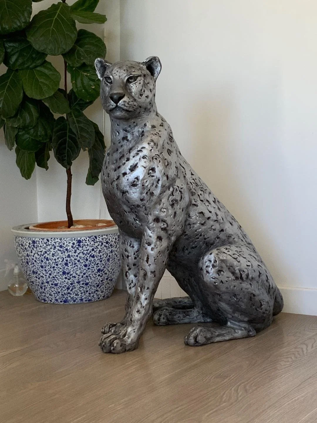 LION 1.jpg