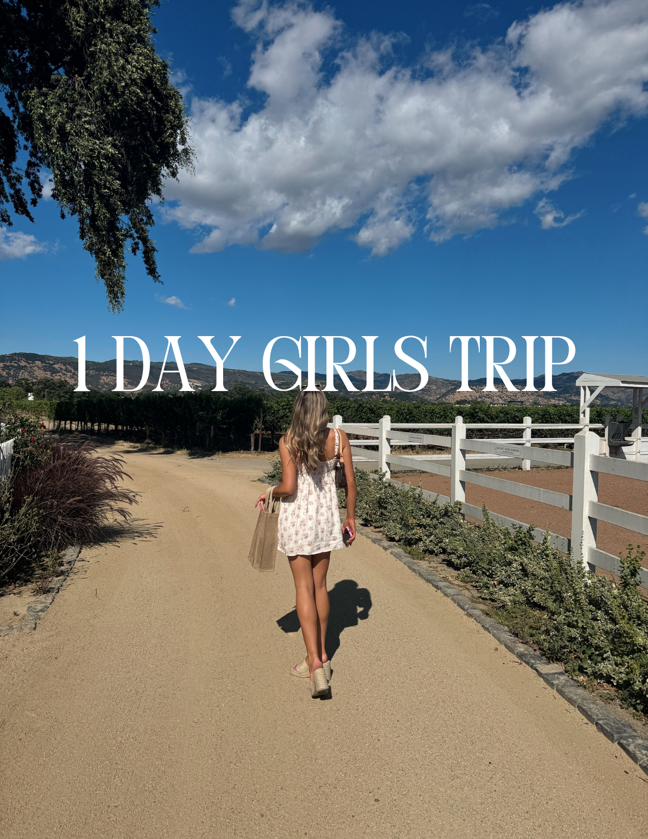 Pre-Curated Itineraries with Titles (4).png