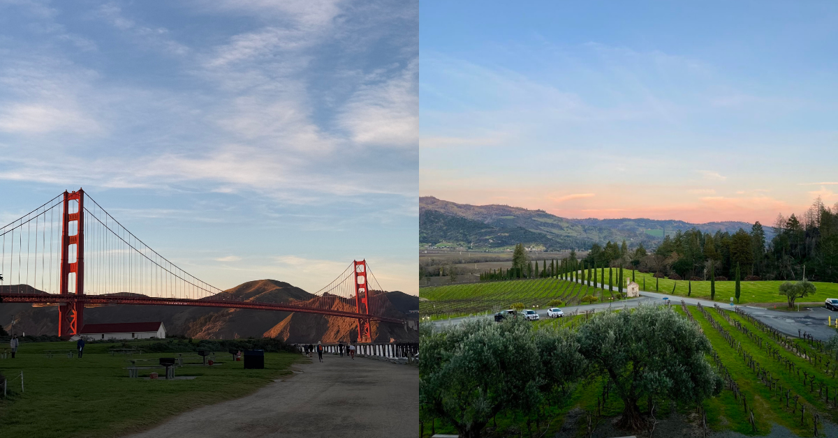 The Perfect SF to Napa Weekend Guide