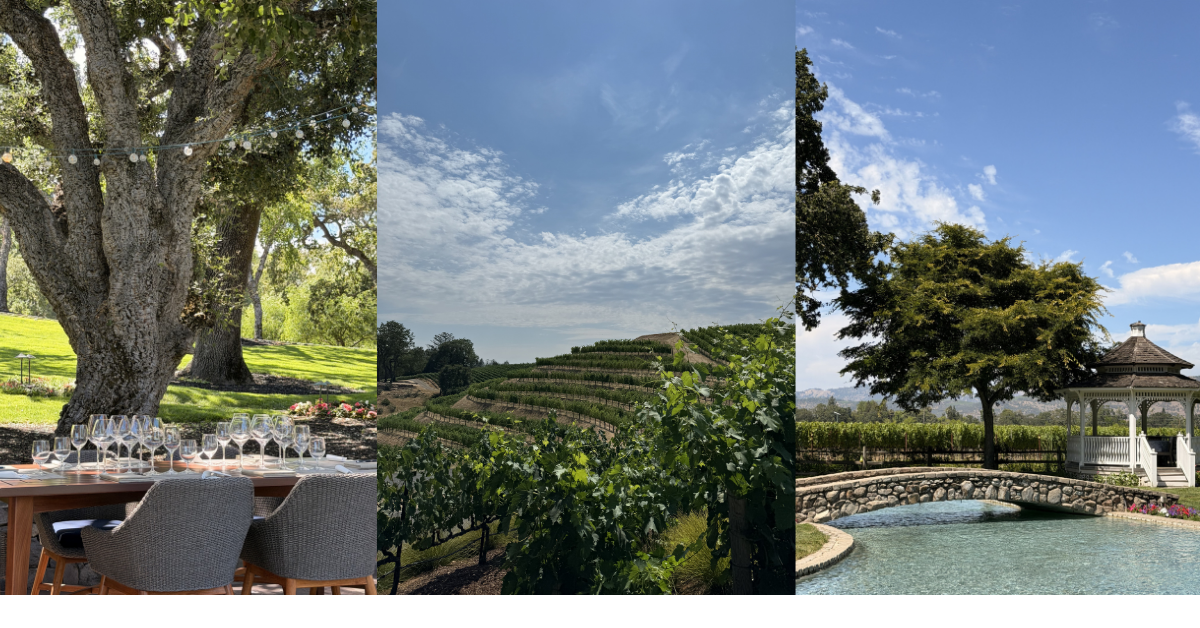 The Best Wineries in Napa Valley According to Locals