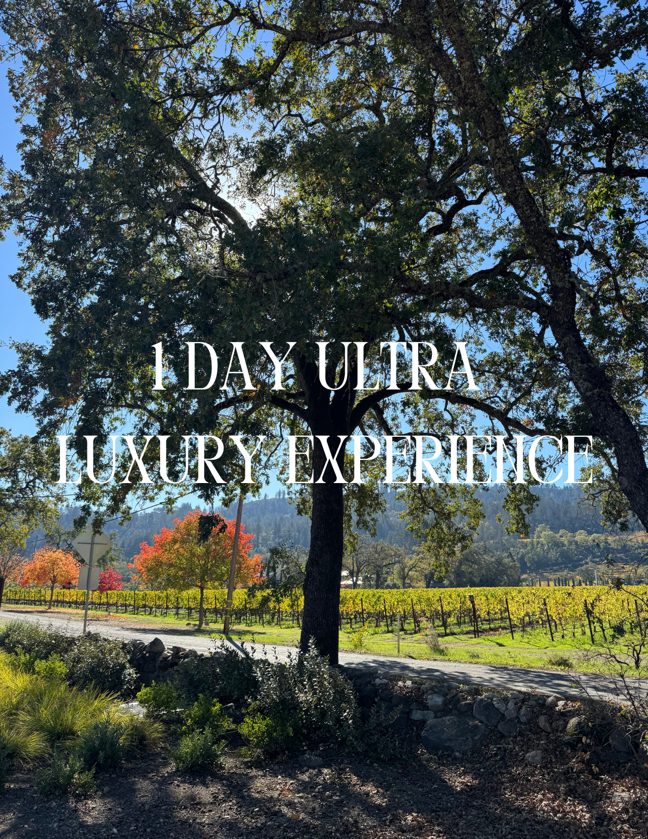 Pre-Curated Itineraries with Titles (7).png