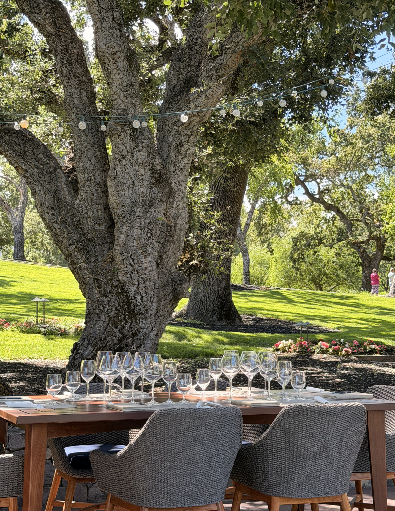 An outdoor dining setup on a wooden table with empty wine glasses arranged on top, surrounded by gray chairs, under a large leafy tree with string lights hanging across. In the background, there's a well-maintained grassy area, flower beds, and two people walking.
