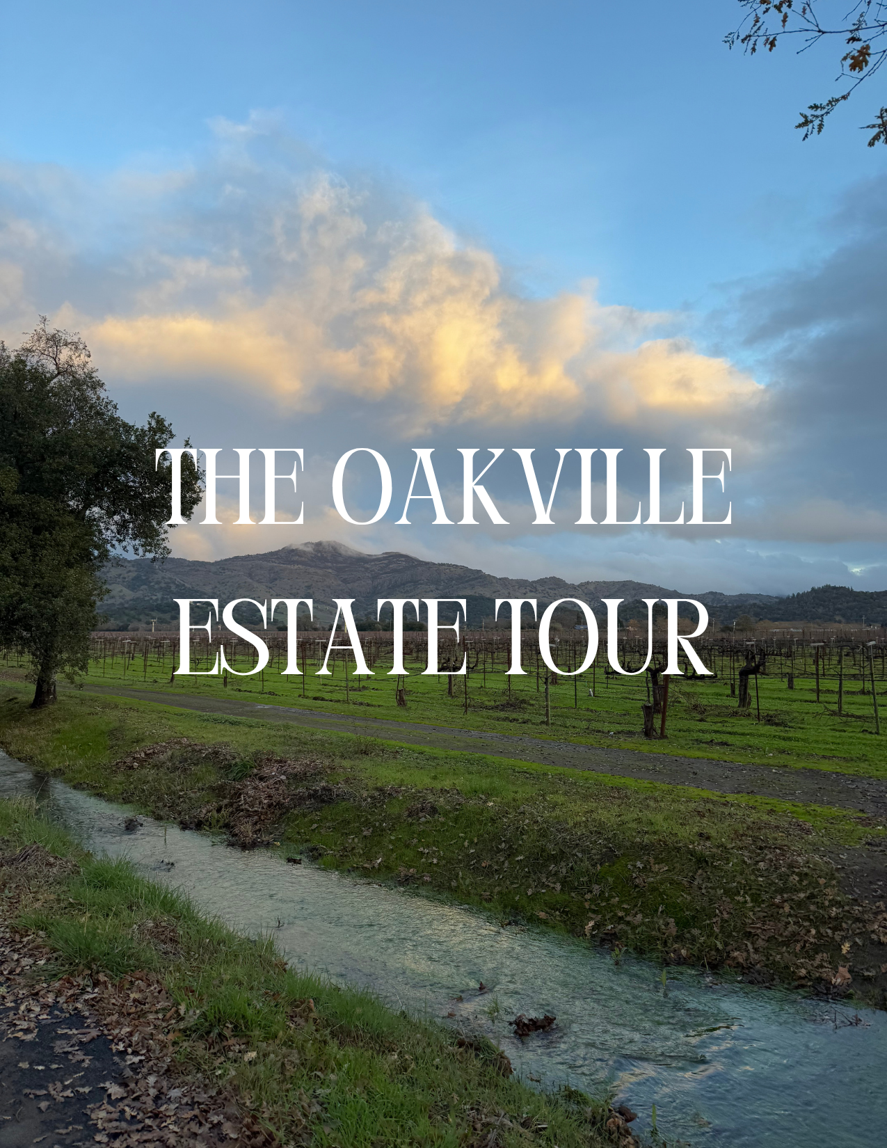 The Oakville Estate Tour