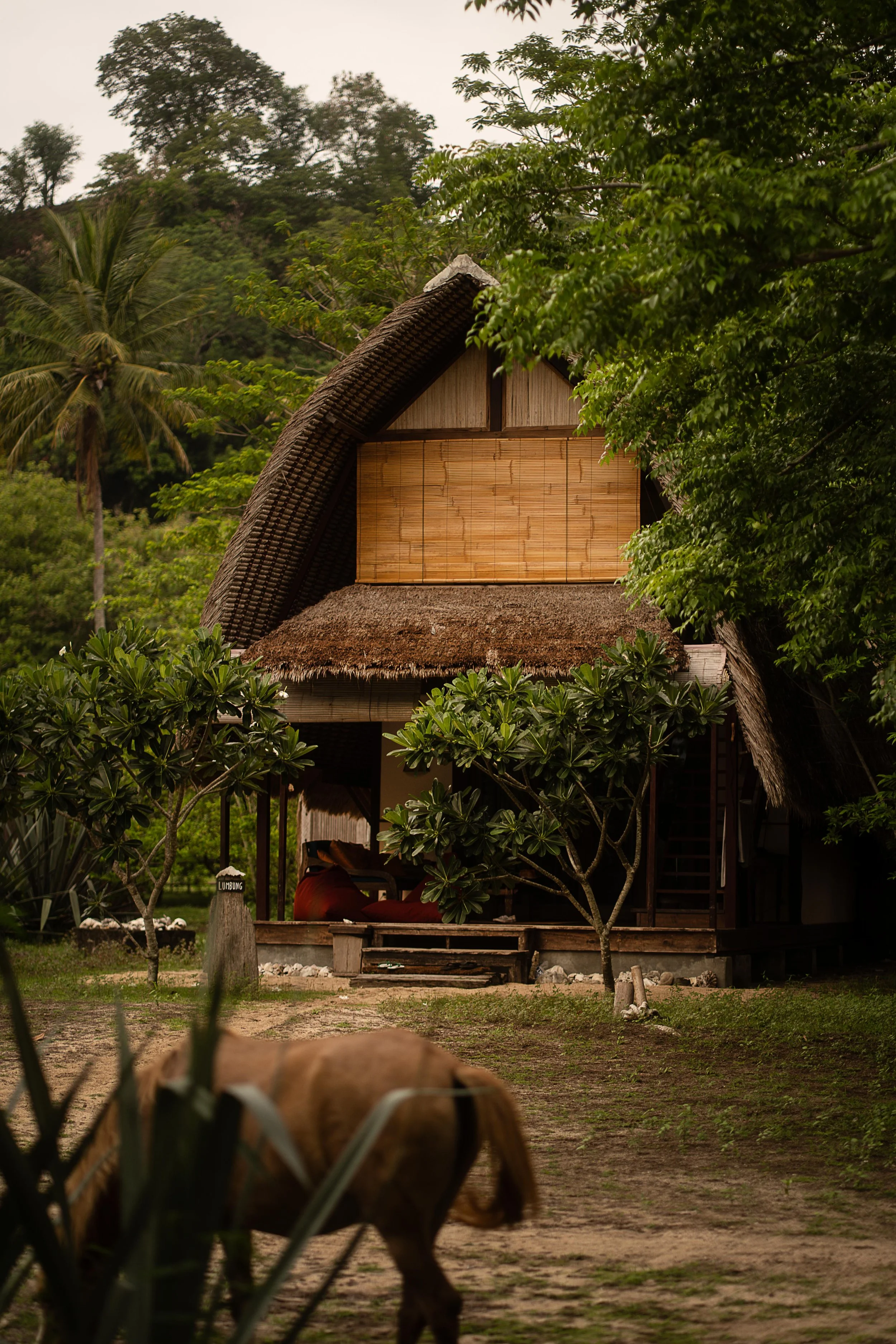 Gili Asahan