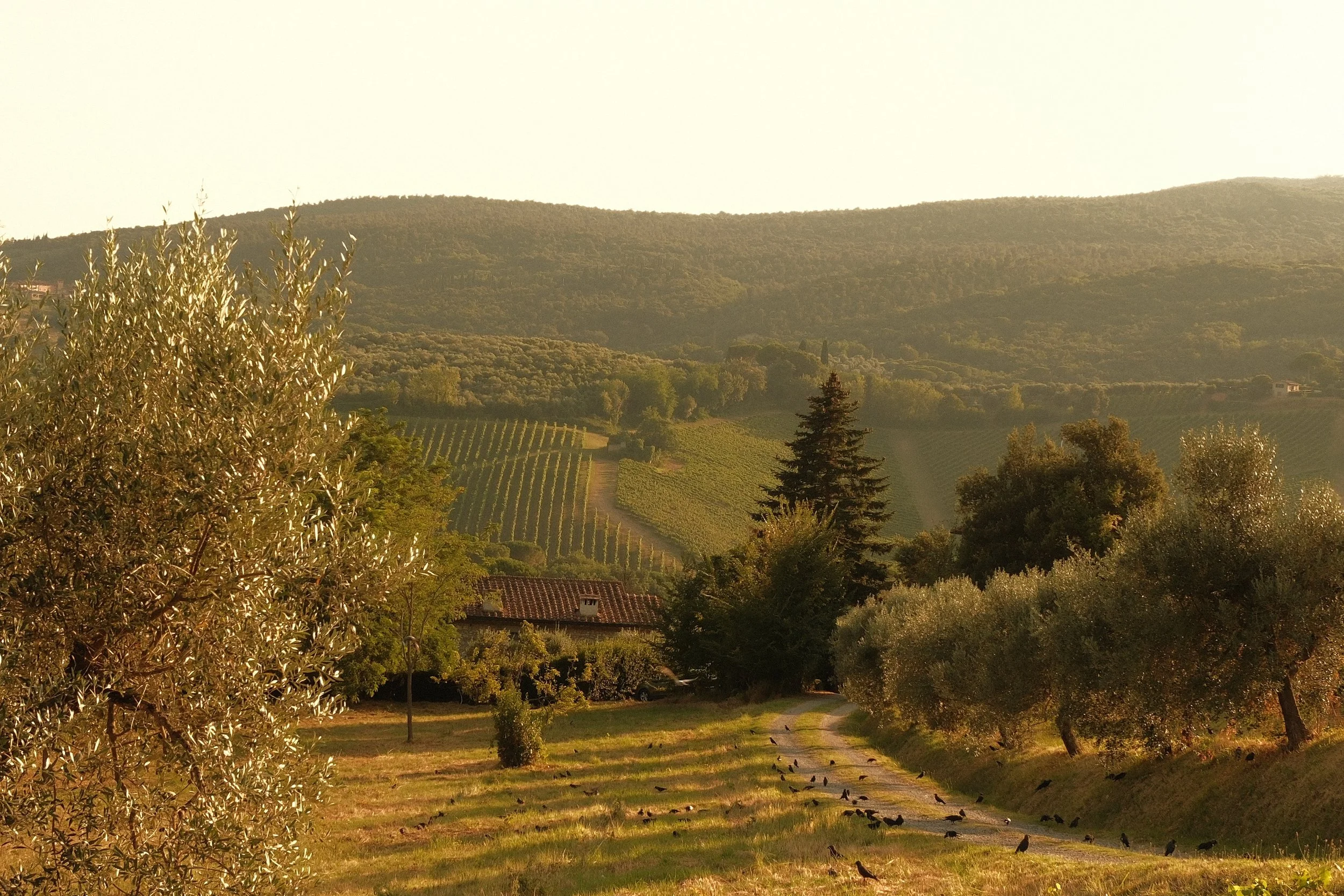 DSCF0726.JPG