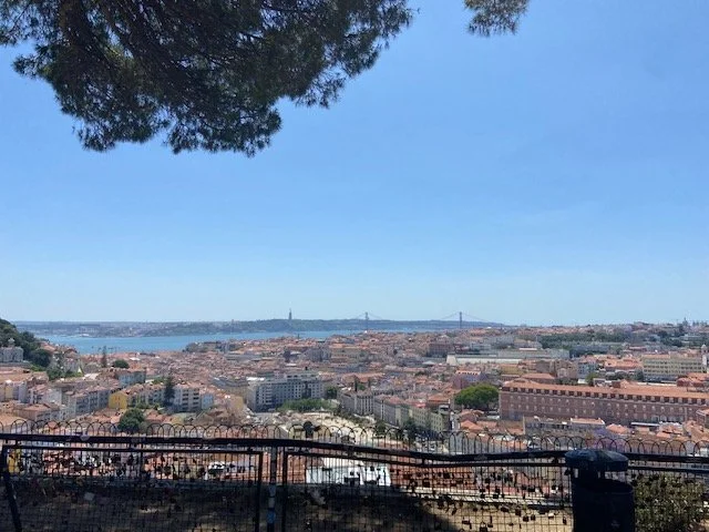 A panoramic view of a city with orange rooftops, a body of water, and a bridge in the distance, seen from a shaded overlook with trees and a black fence.