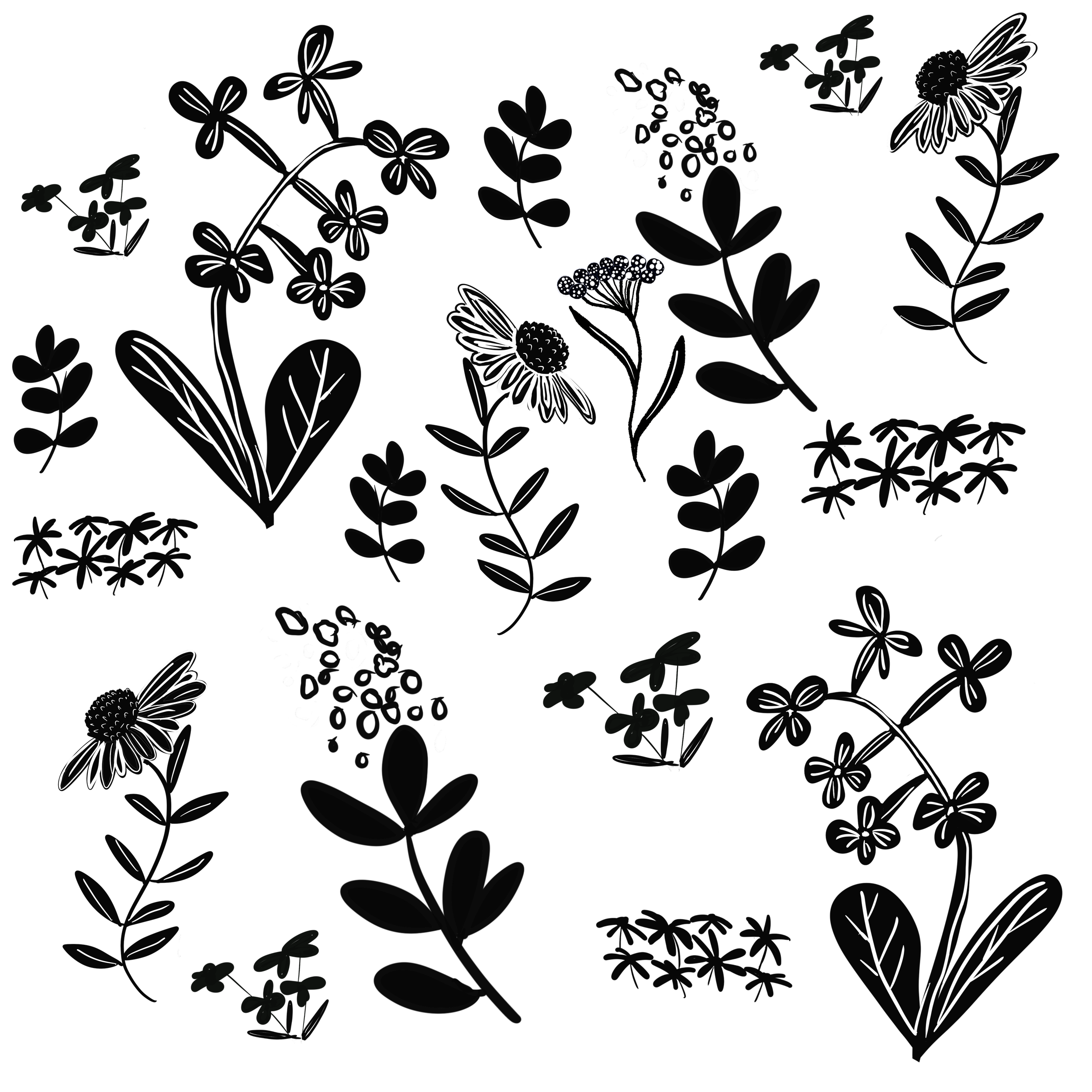 Black background with white outline drawings of various flowers, some leaves, and a bee, creating a floral pattern.
