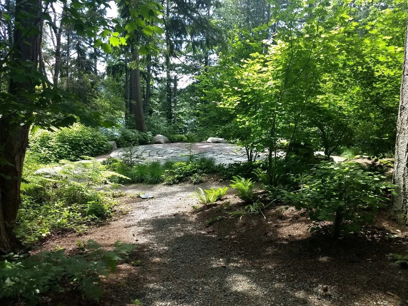 A forest scene with lush green trees, shrubs, and plants. There is a dirt path leading to a large stone with a circular pattern on its surface, surrounded by rocks and trees, with sunlight filtering through the leaves.