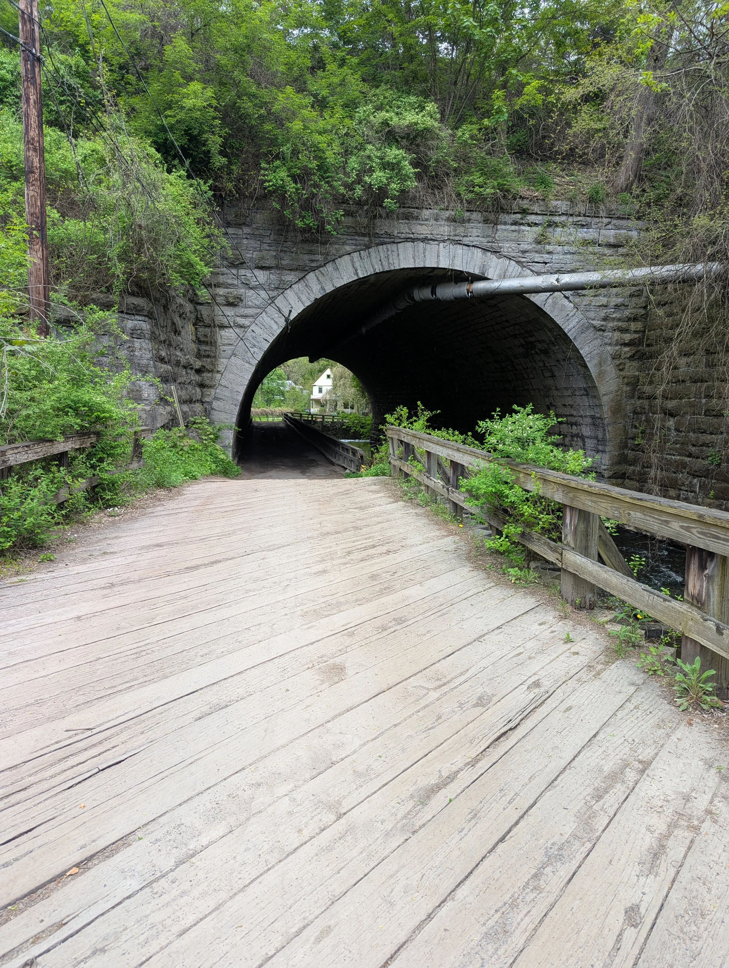 A tunnel under a stone bridge with greenery on top, a dirt pathway leading into it, and wooden railings on the side.