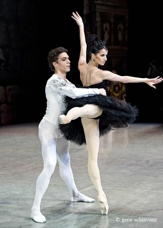 Denys Swan Lake 2.jpg