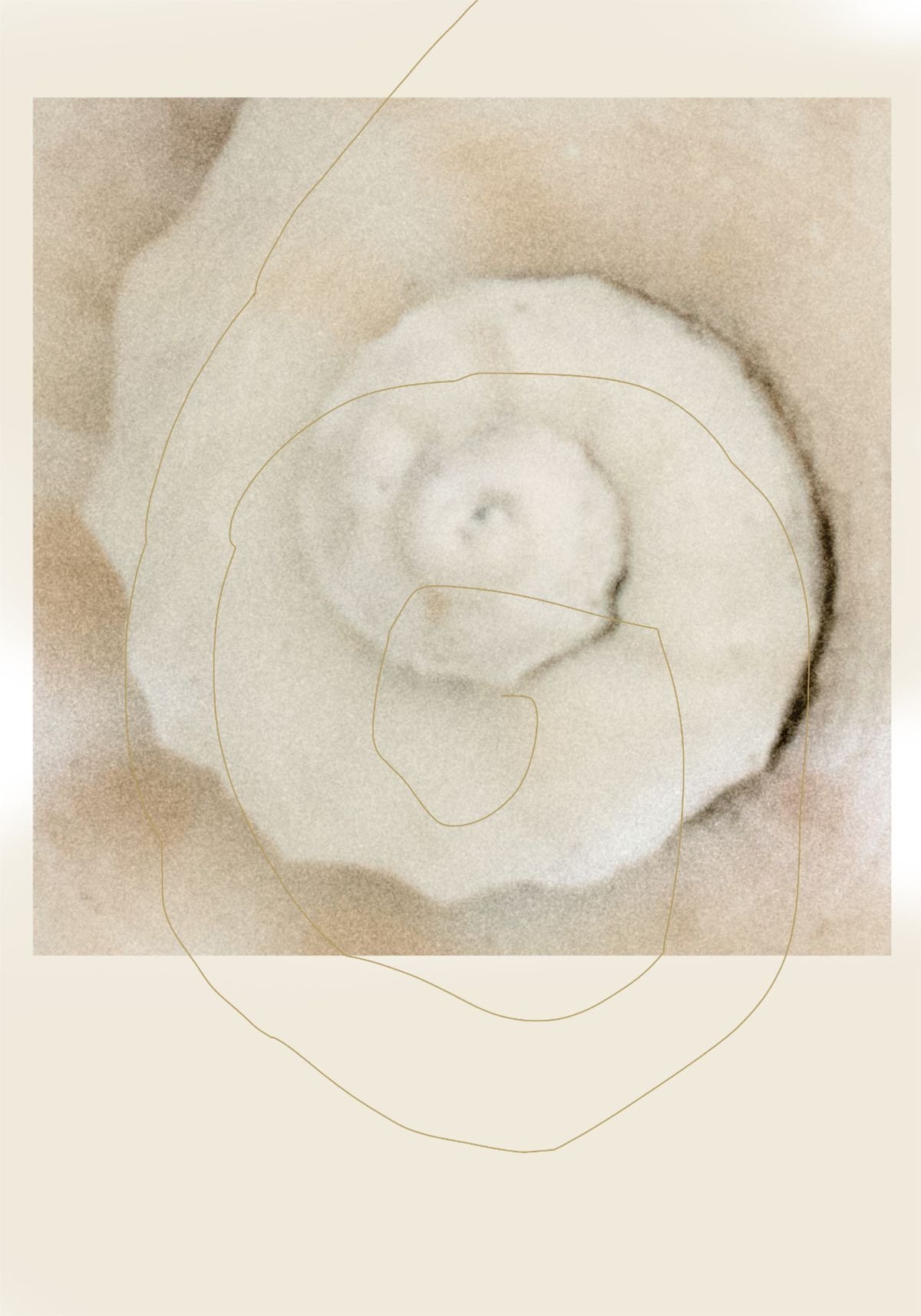 A digital abstract art piece featuring a soft, sepia-toned swirl design with subtle textured shading and fine contour lines over a cream background.