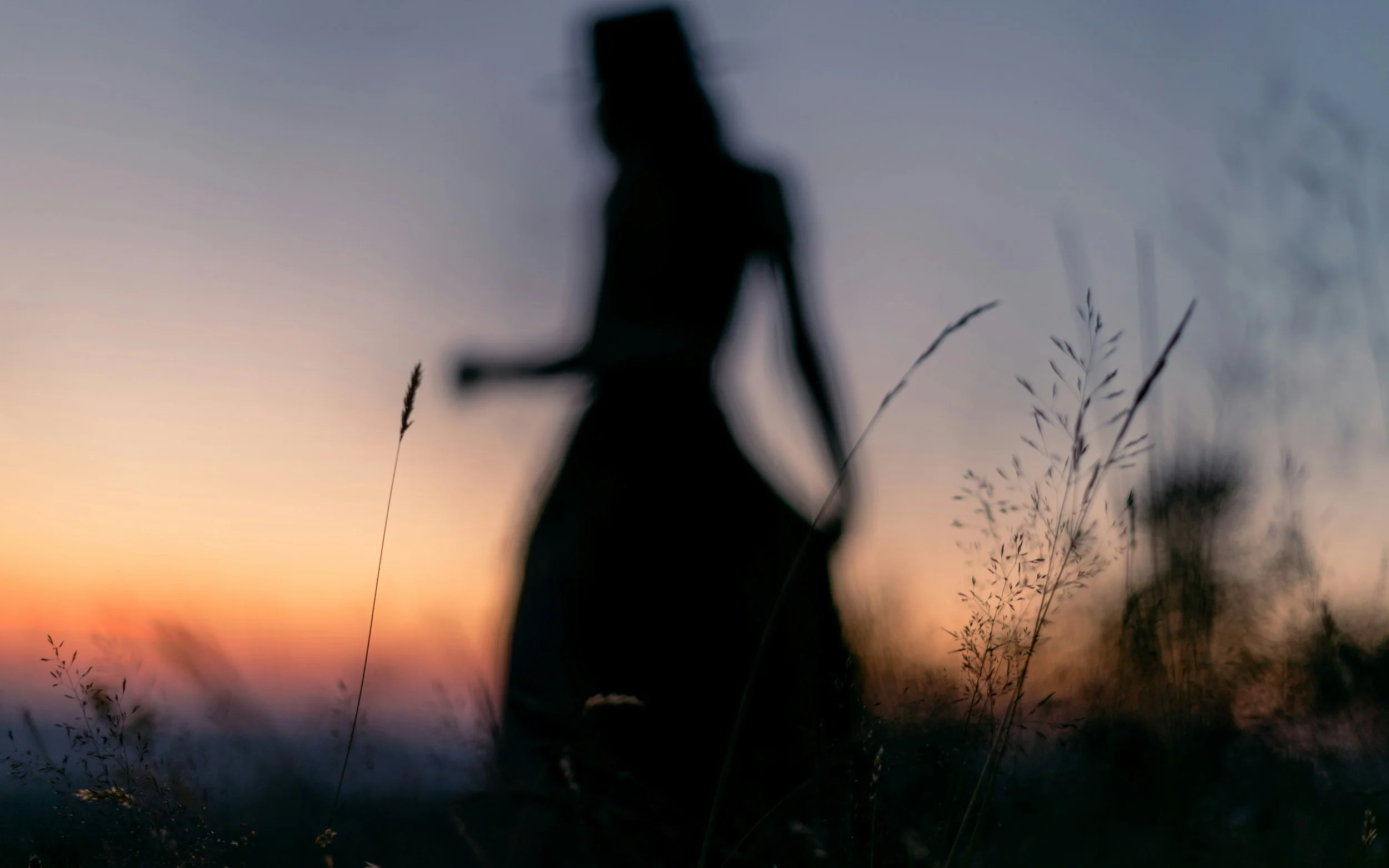Silhouette of a woman walking through tall grass during sunset or dusk, with a colorful sky in the background.