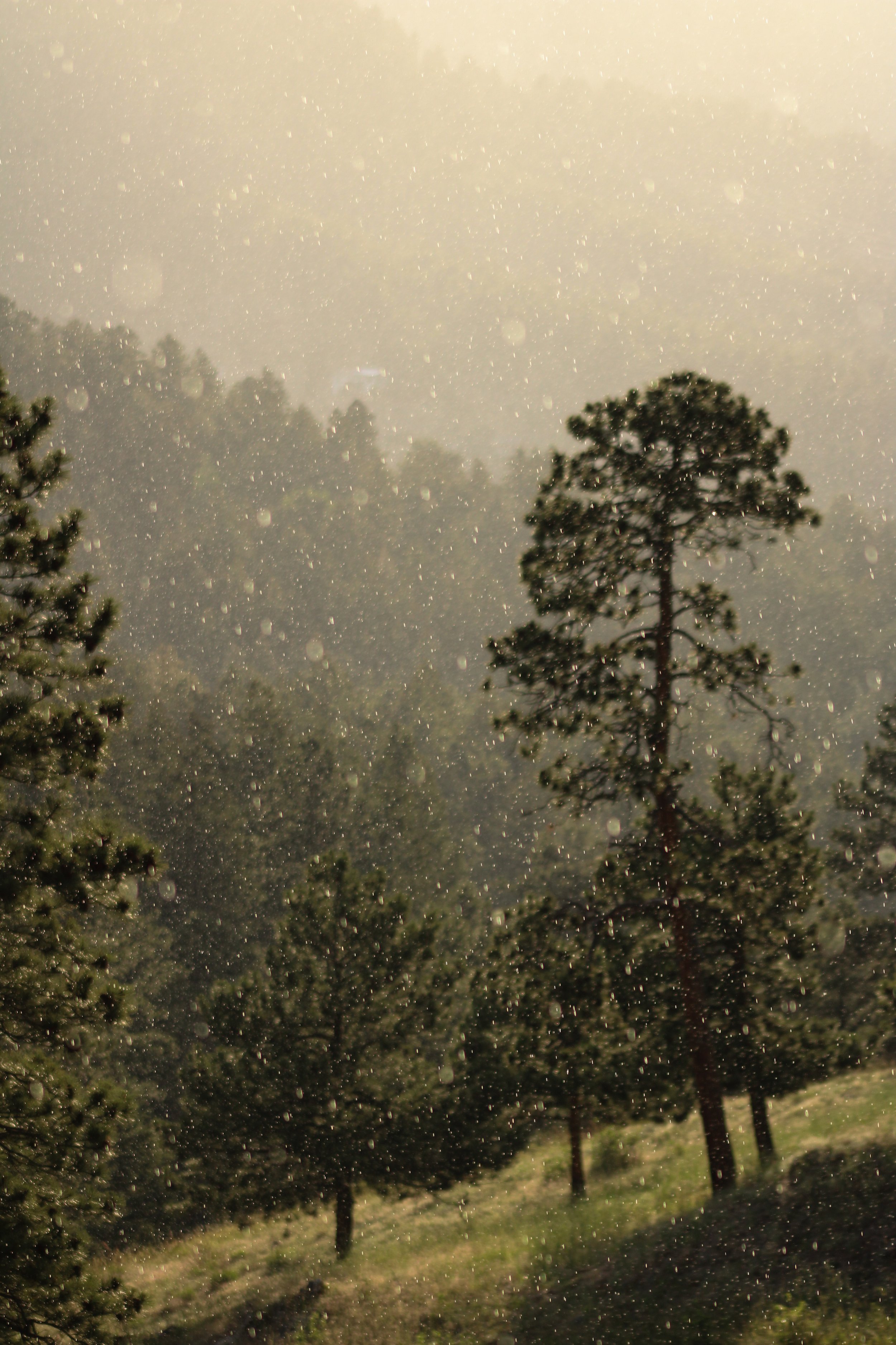 Golden, Colorado