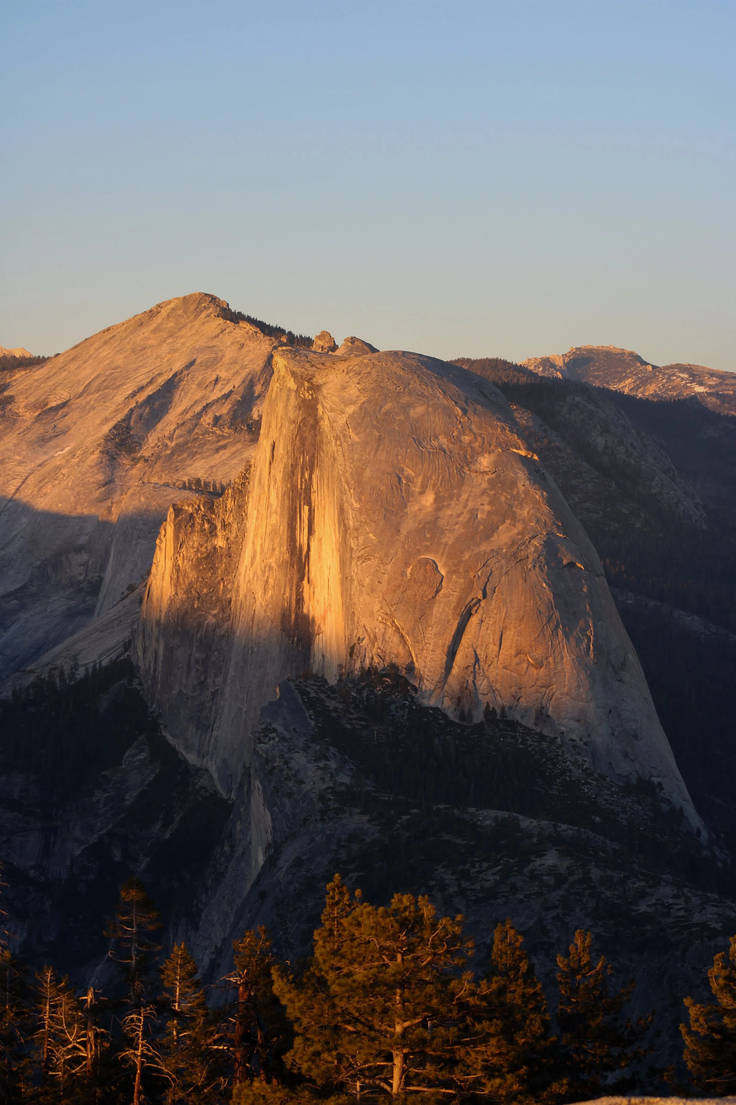 IMG_7329.JPG