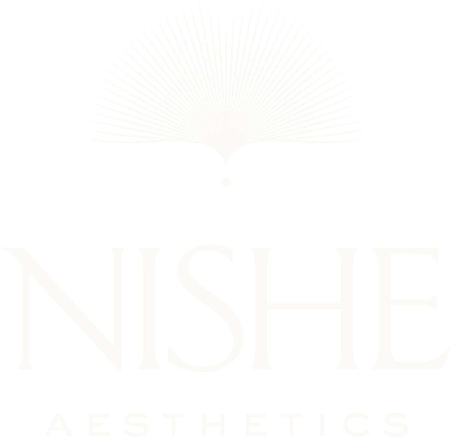 Nishe Aesthetics