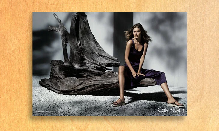  CALVIN KLEIN      ad campaign 