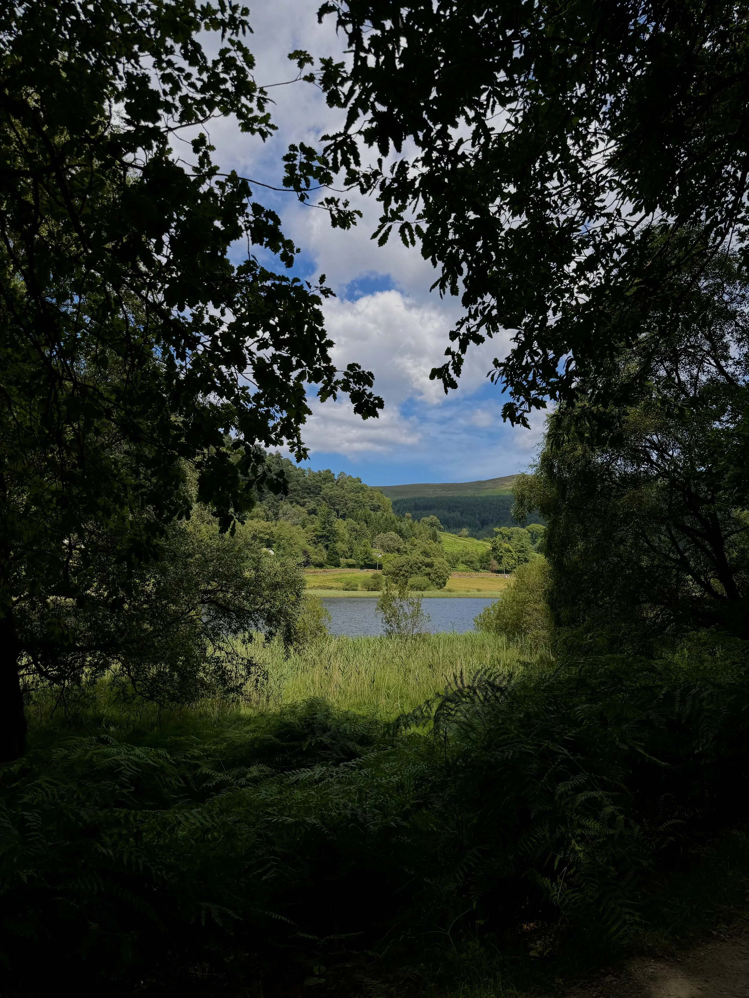 IMG_1605.jpeg