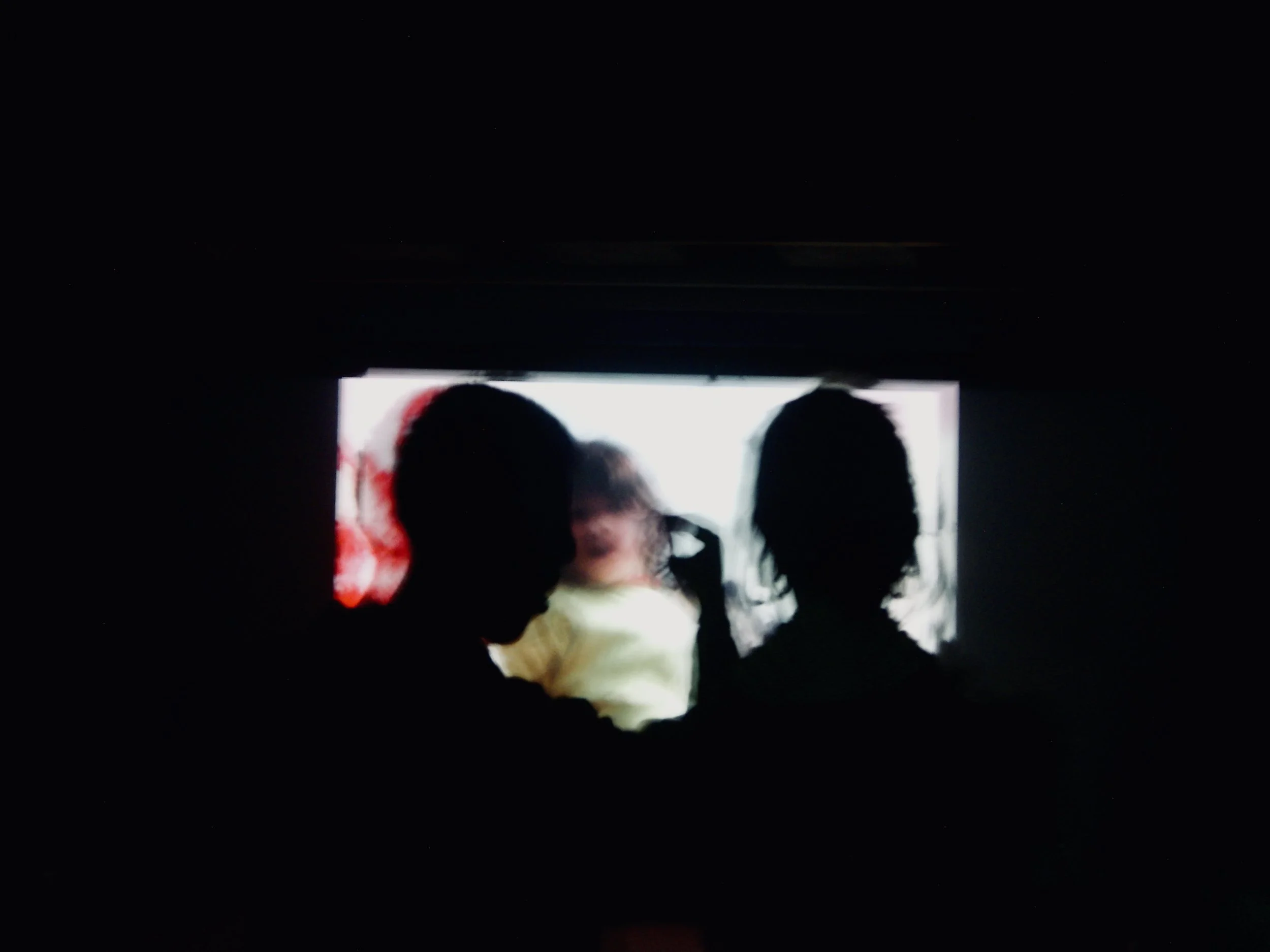 People sitting in a dark theater watching a screen with a bright display.