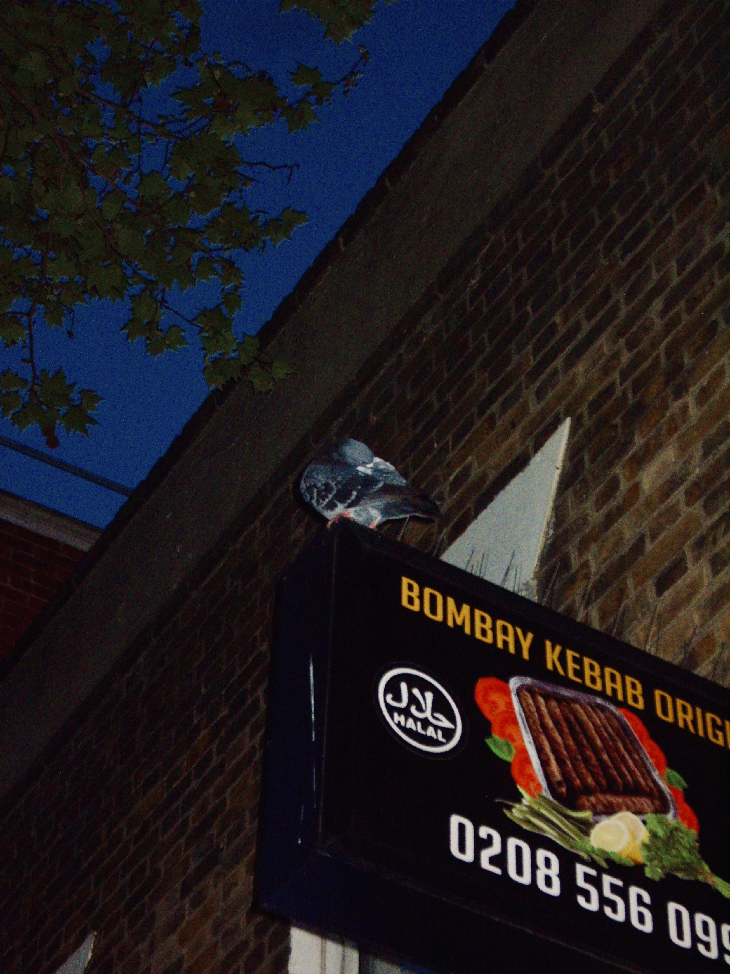 A street scene at dusk showing a brick wall and a brightly lit sign for Bombay Kebab, with a tree with green leaves and a blue sky in the background.