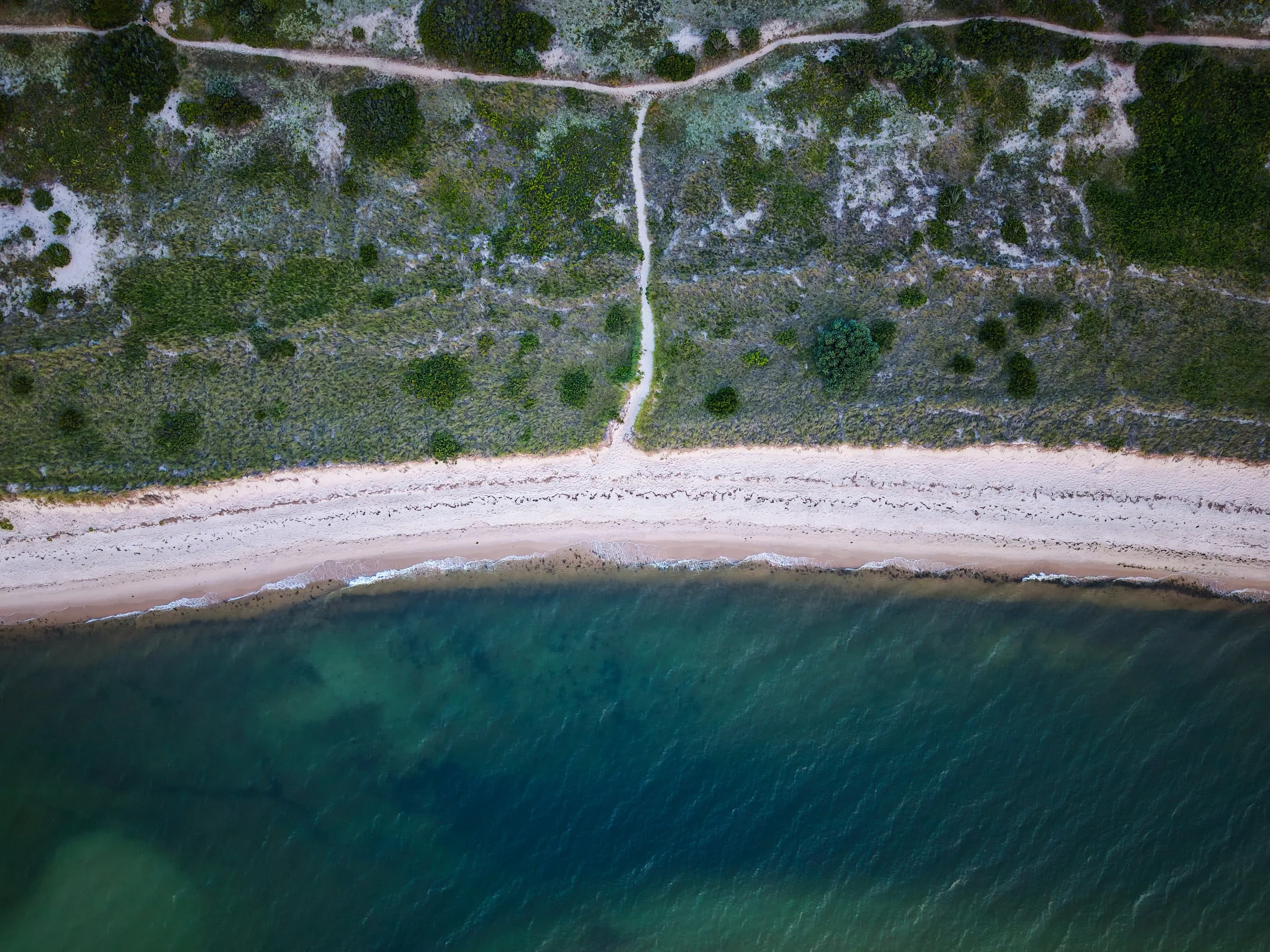 Beach Lines