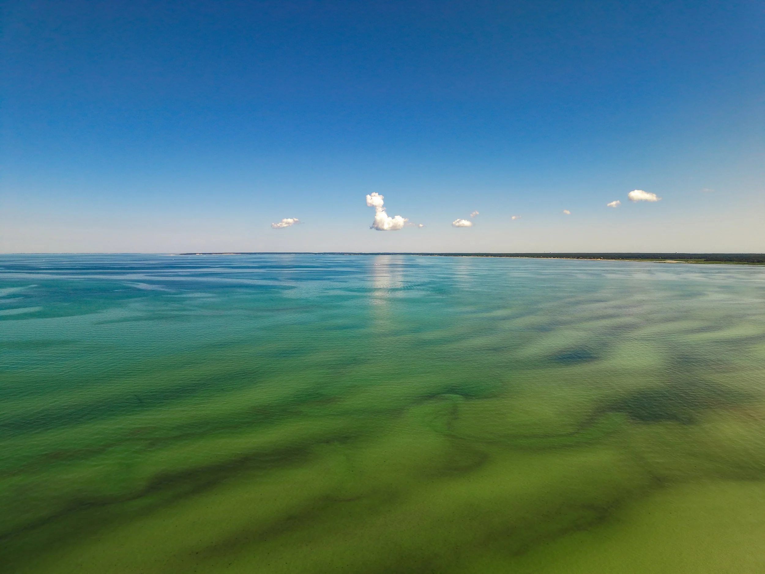 High Tide