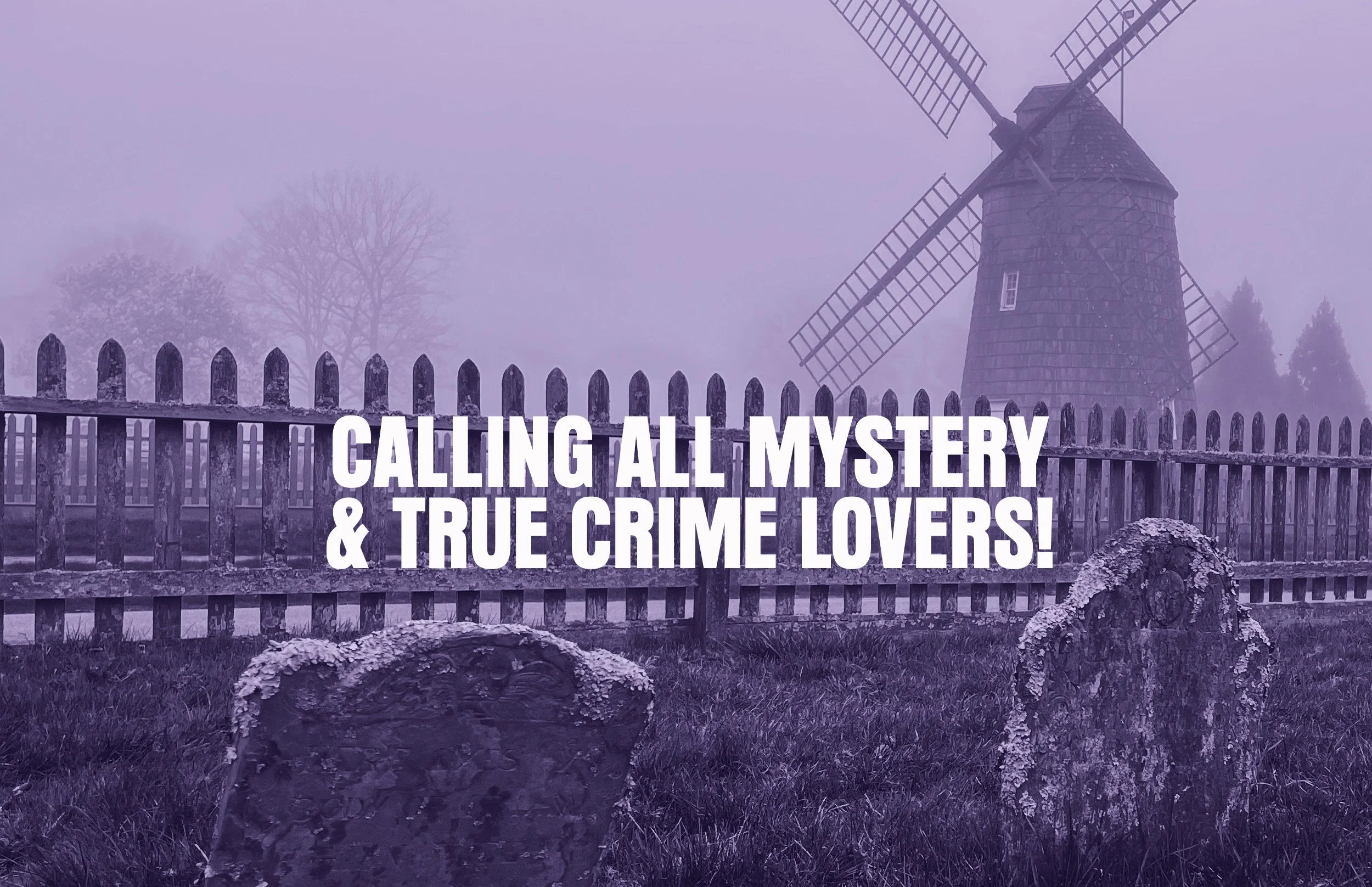 HW NEW HOMEPAGE CALLING ALL MYSTERY.. 2027.jpg