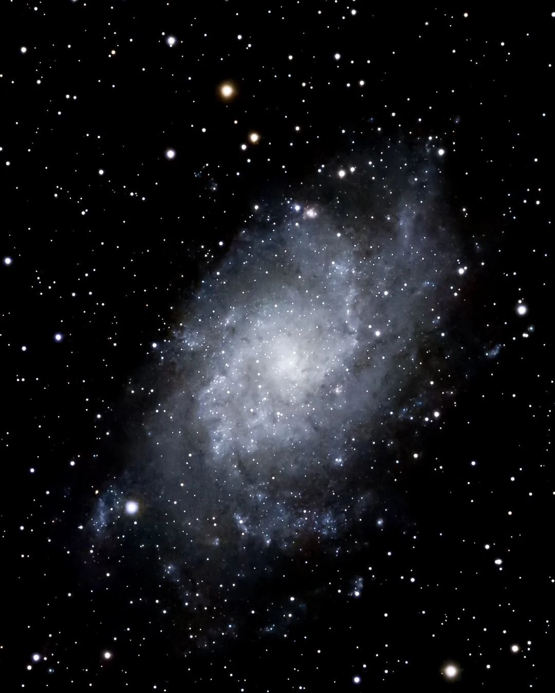 Triangulum Galaxy (M33)