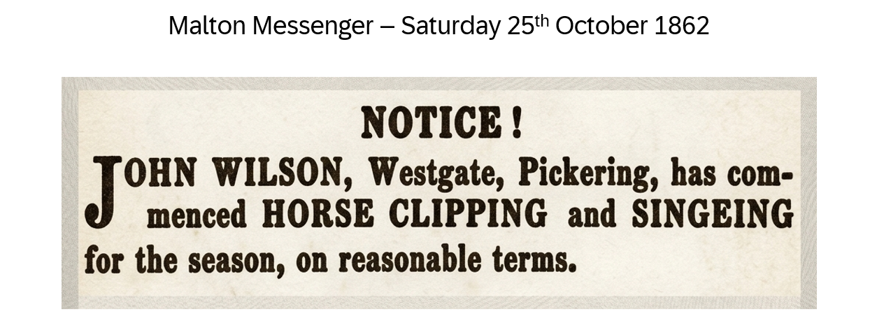 John Wilson Horse Clipping & Singeing Victorian reverse glass mirrored advertising sign by Filey Pier Limited