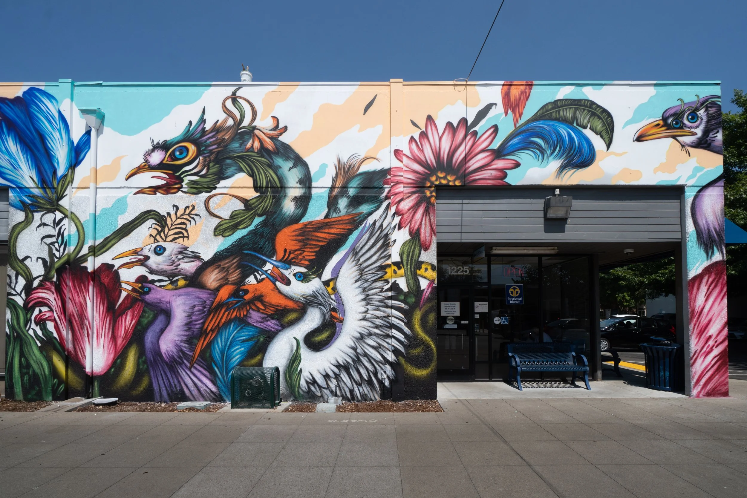 Colorful mural of various exotic birds, flowers, and foliage on the building exterior.