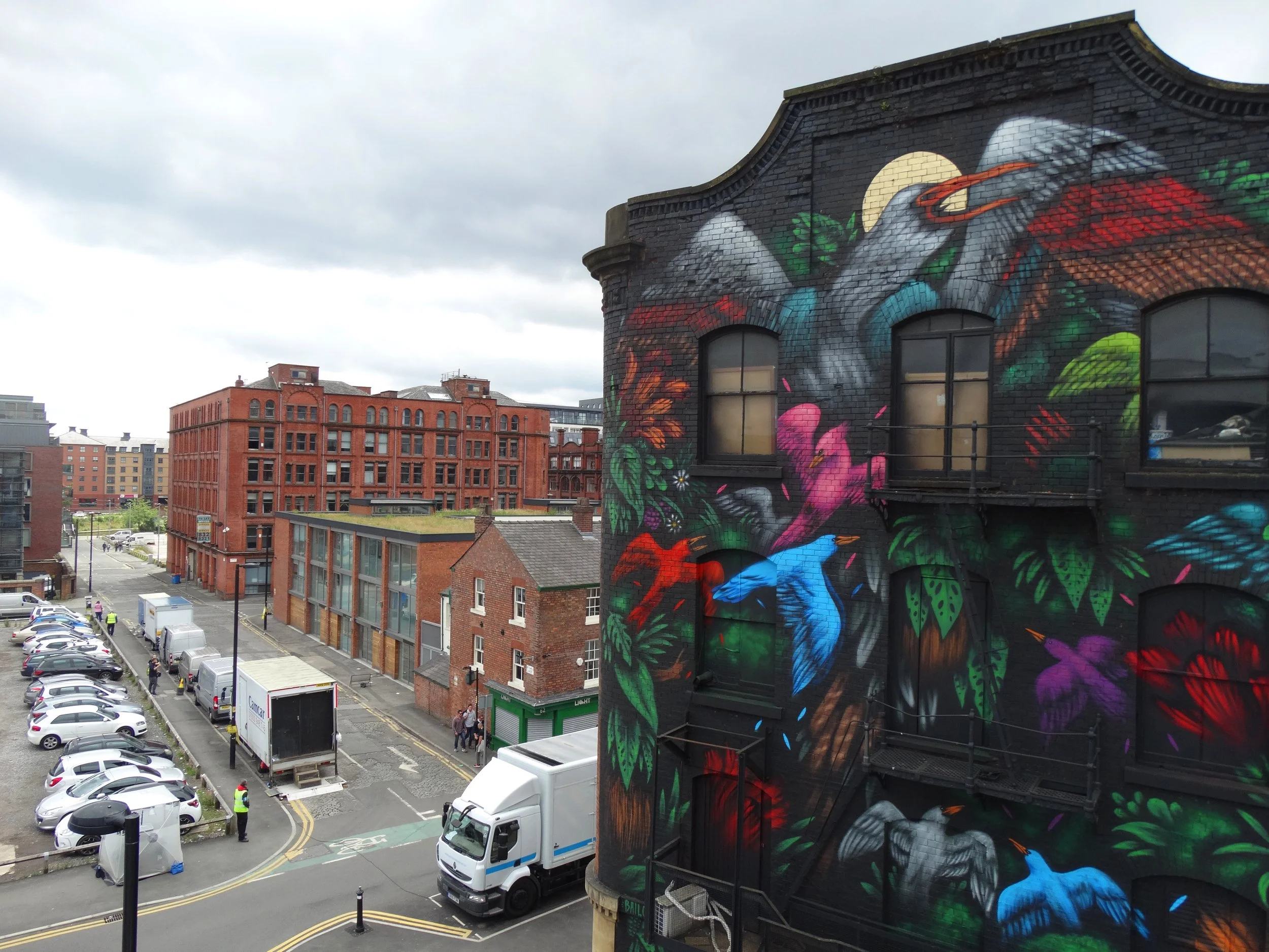Colorful mural of a bird and other vibrant shapes painted on the side of a black brick building in an urban area, with other brick buildings, parked cars, and city streets visible in the background under cloudy skies.