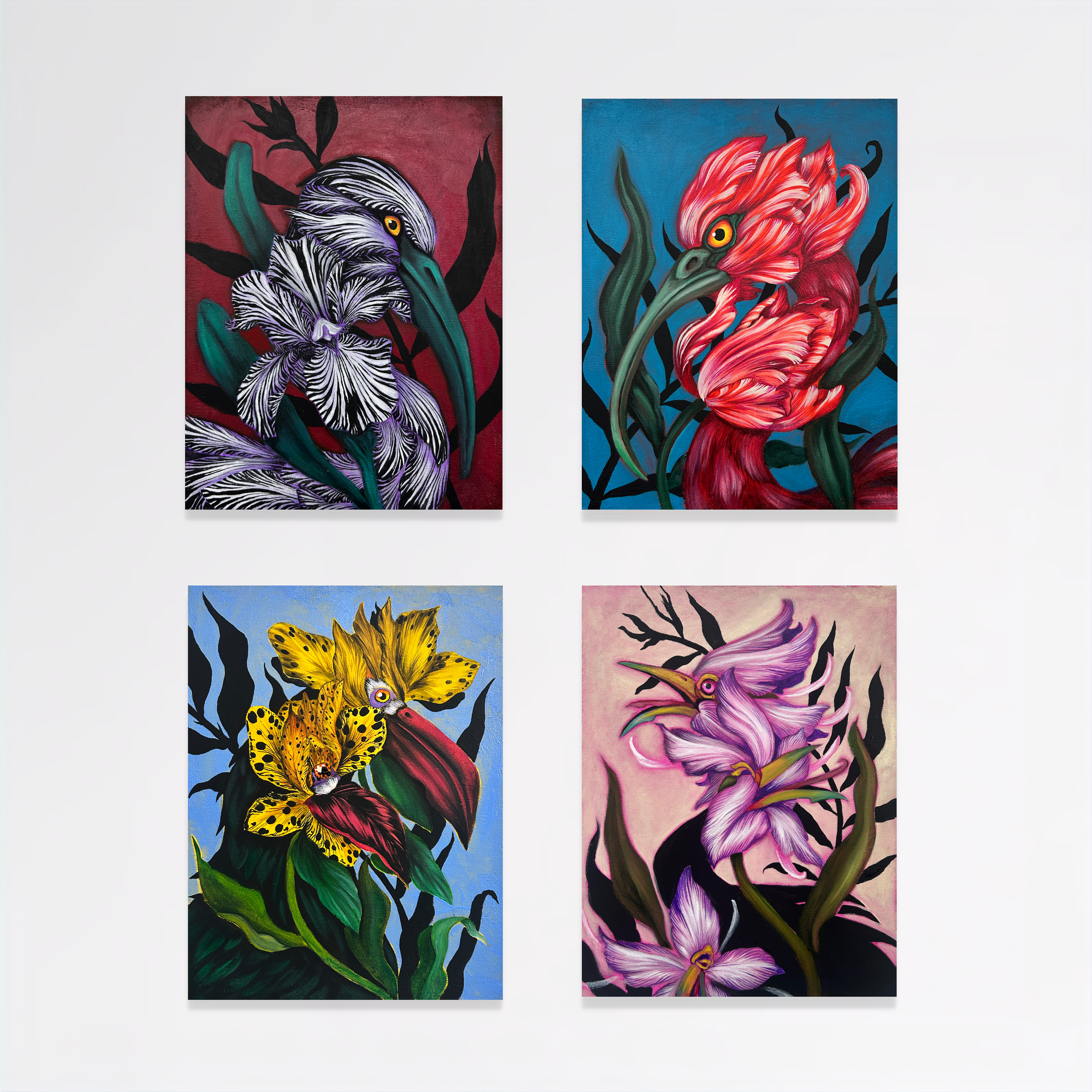 Four colorful botanical paintings of flowers and birds, with vibrant and detailed artwork, displayed on a white wall.