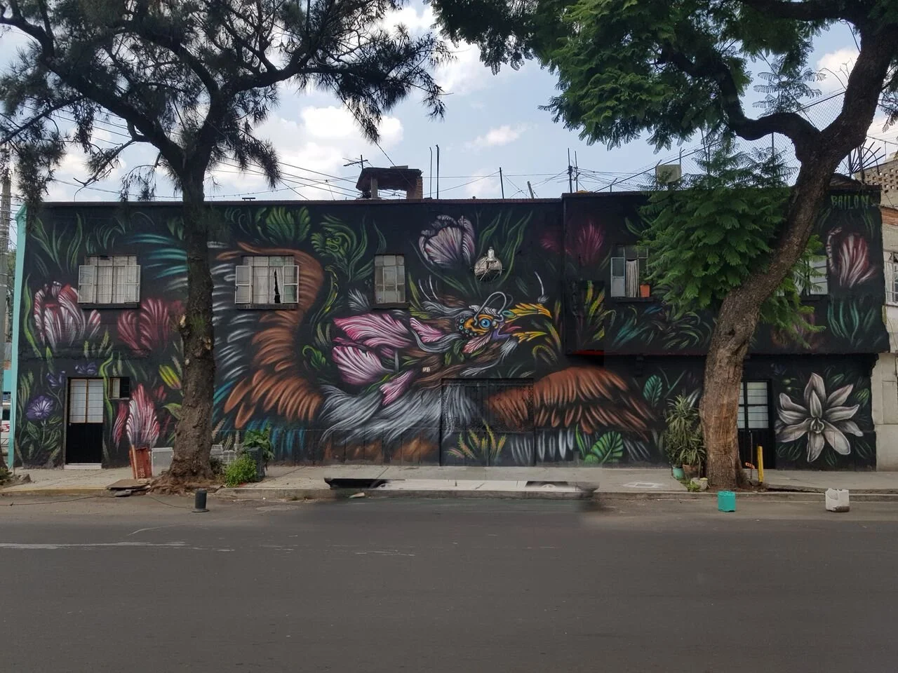 Colorful mural on a building wall depicting a mythical bird with vibrant feathers surrounded by large flowers and lush green foliage.