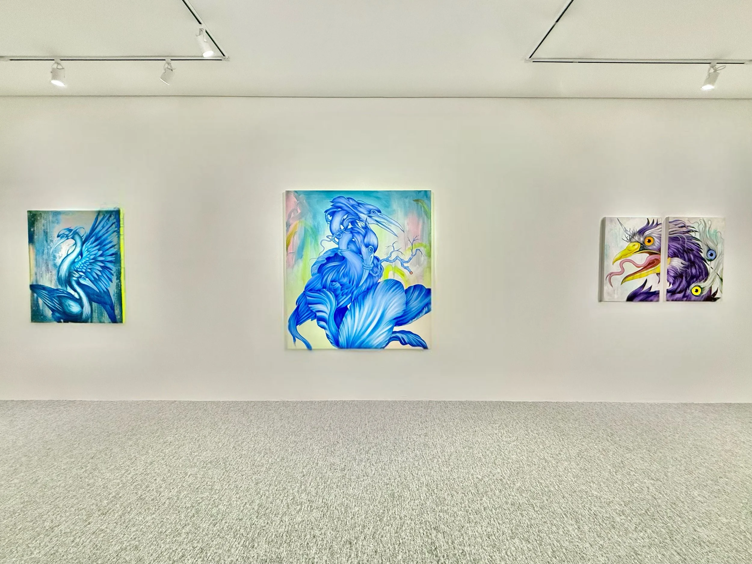 Three colorful paintings of birds on a white gallery wall with track lighting overhead.
