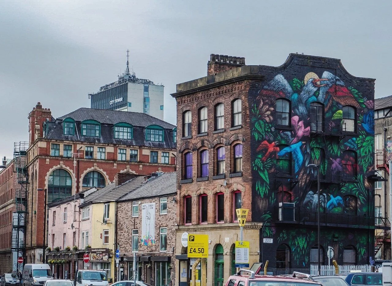 City street scene with colorful mural of birds and plants on brick building, older and modern buildings in background, cars parked along street.