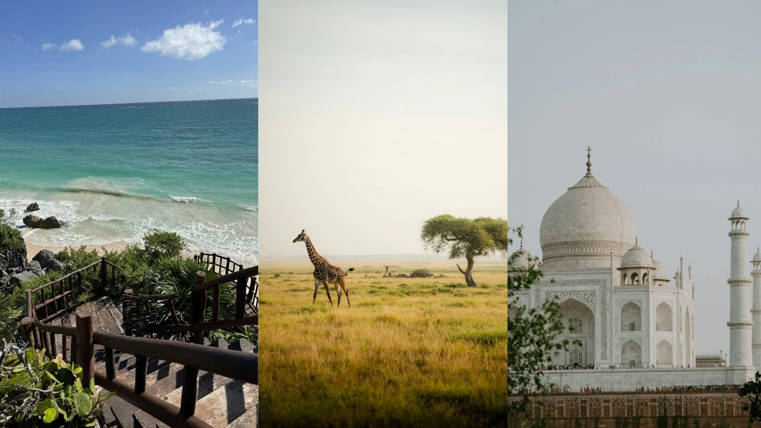 Triptych showing a beach with rocks and greenery, a savannah with a giraffe and a tree, and the Taj Mahal in India.