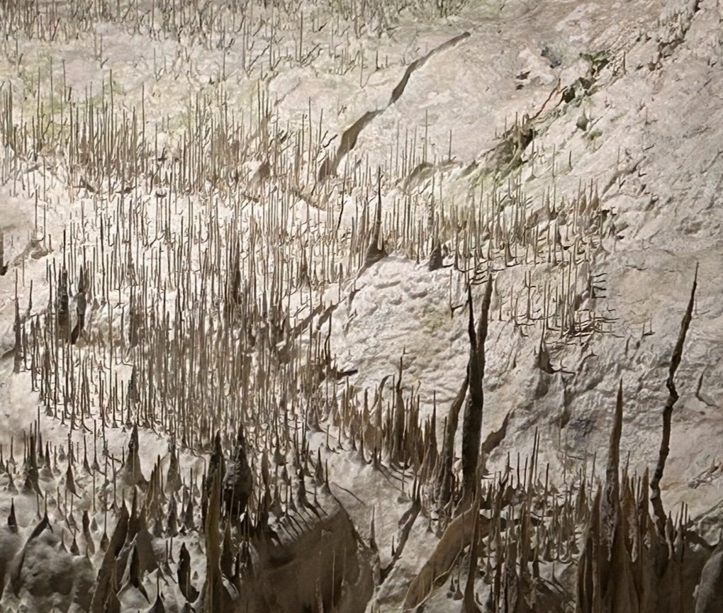 Close-up of cracked, dry ground with thin, tall, dried grass or plant stems protruding from the soil.