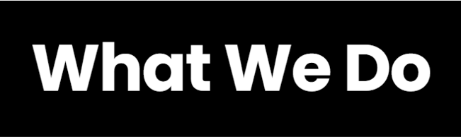 Black background with white text that says 'What We Do'.