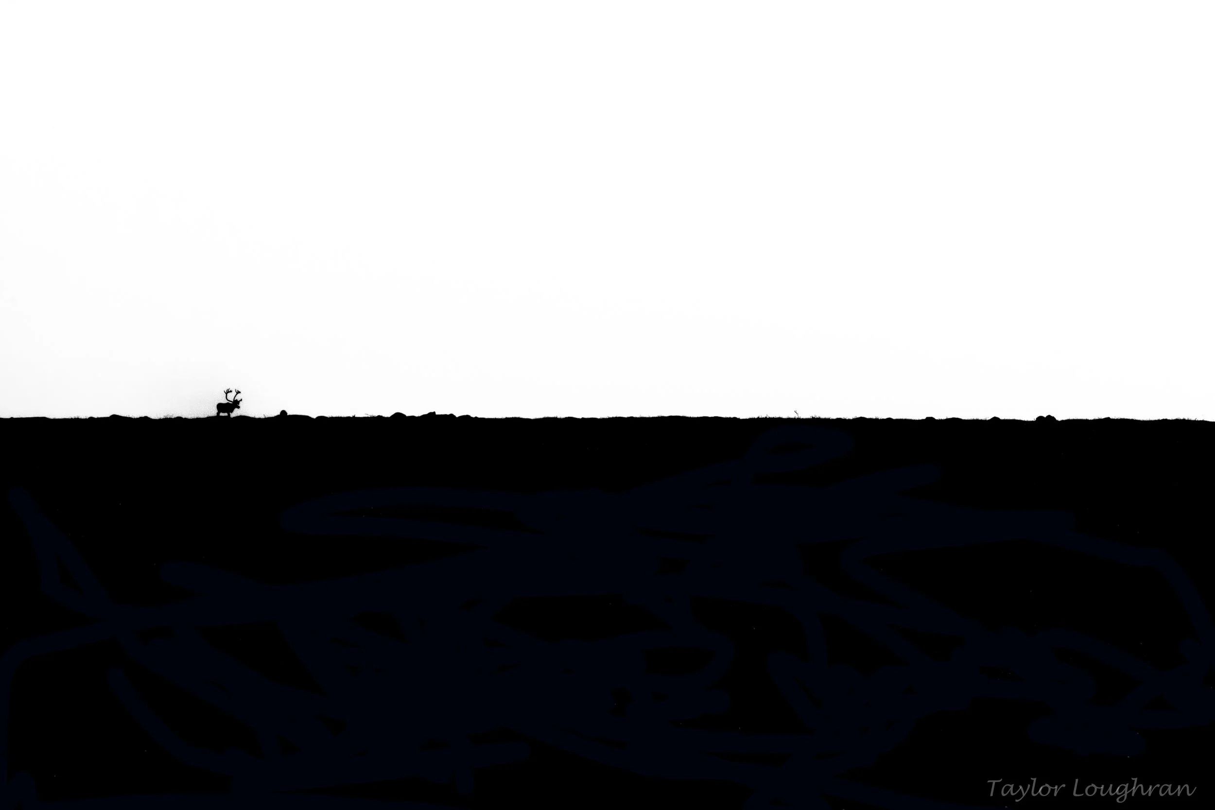 lone_caribou_ps_1.jpg